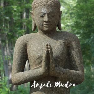 anjali-mudra-buddha-pose